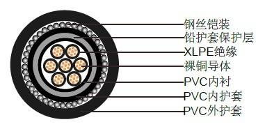 鎧裝電纜示意圖