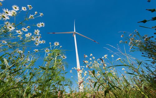 通用電氣獲西班牙1吉瓦風力渦輪機訂單